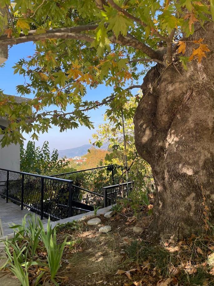 Holiday Home Neochori Neochori  Dış mekan fotoğraf
